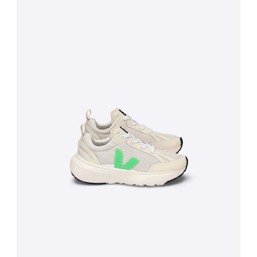 Veja CANARY ELASTIC LACE Sko Barn Beige/Green | NO 767MQZ